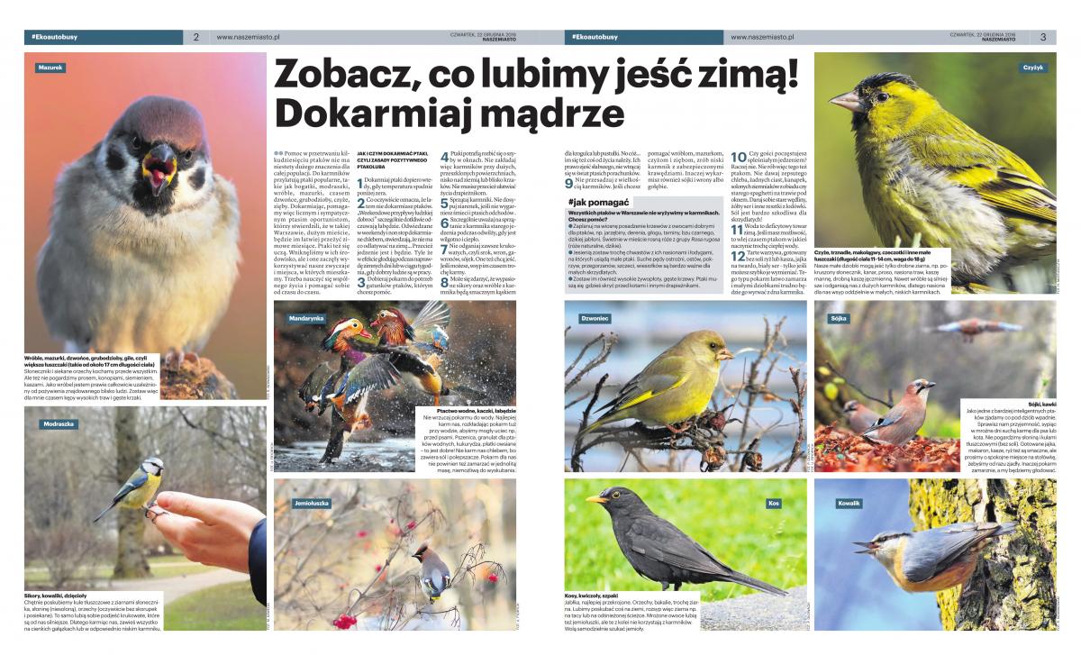 Zobacz co lubimy jeść zimą ! Dokarmiaj mądrze.