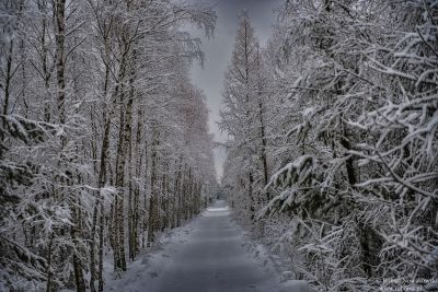 Wiosny nie będzie, jeszcze nie czas ...